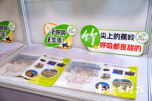 竹炭科技點亮綠色未來 廣東健態(tài)實業(yè)以 黑金 破局竹業(yè)新賽道